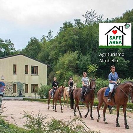 Agriturismo Altobello Vérone Extérieur photo