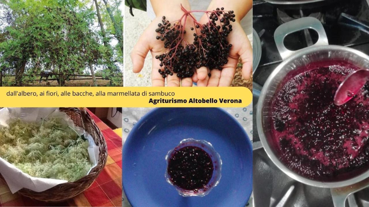 Agriturismo Altobello Vérone Extérieur photo