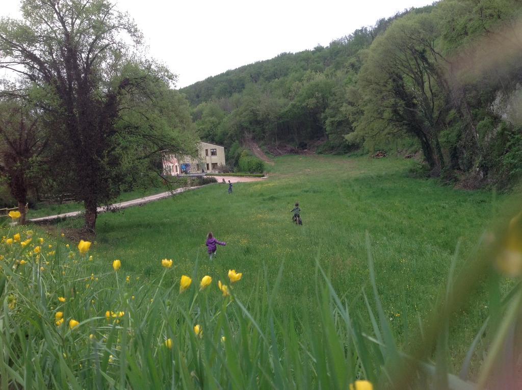 Agriturismo Altobello Vérone Extérieur photo